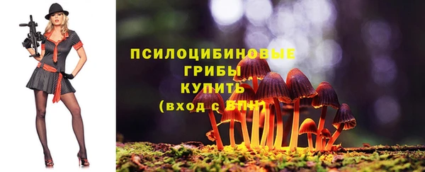 дмт Верхний Тагил