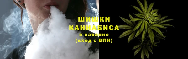 мдпв Верея