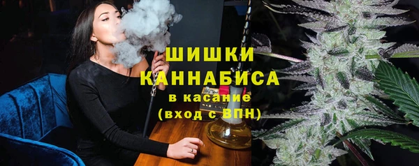 стаф Бородино