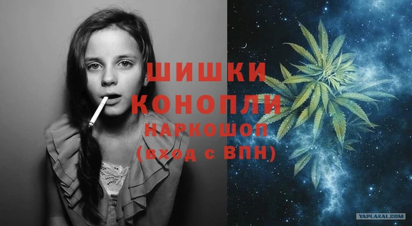 мдпв Верея