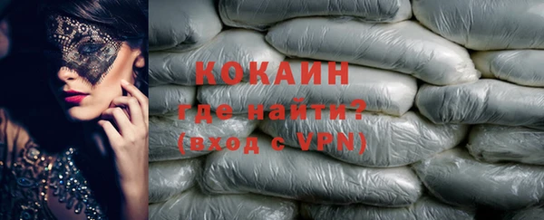 стаф Бородино